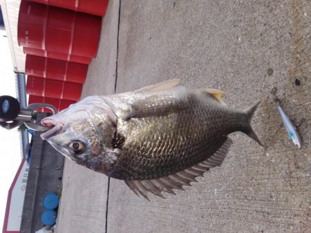 仕事帰りのちょい釣り